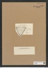 Triceratium heteroporum Grun. (de-Toni-Nr.: Genus 140, Species 3853) Zeichnungen Sammlung Grunow Nr. 7352 (NHMW-BOT-W0376405)